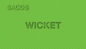 Sacos Plásticos Wicket - Monómero